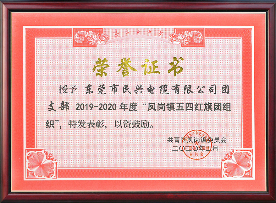  民興電纜團支部獲“鳳崗鎮(zhèn)五四紅旗團組織“稱號