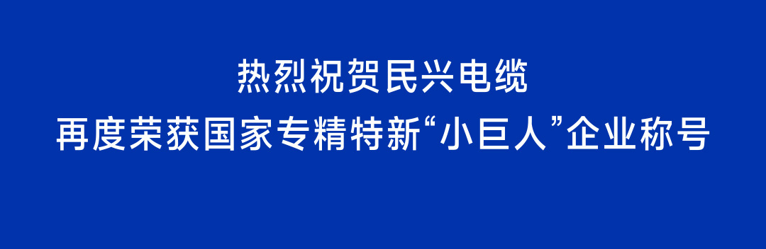 再獲國家級認(rèn)定！民興電纜蟬聯(lián)國家專精特新“小巨人”企業(yè)稱號