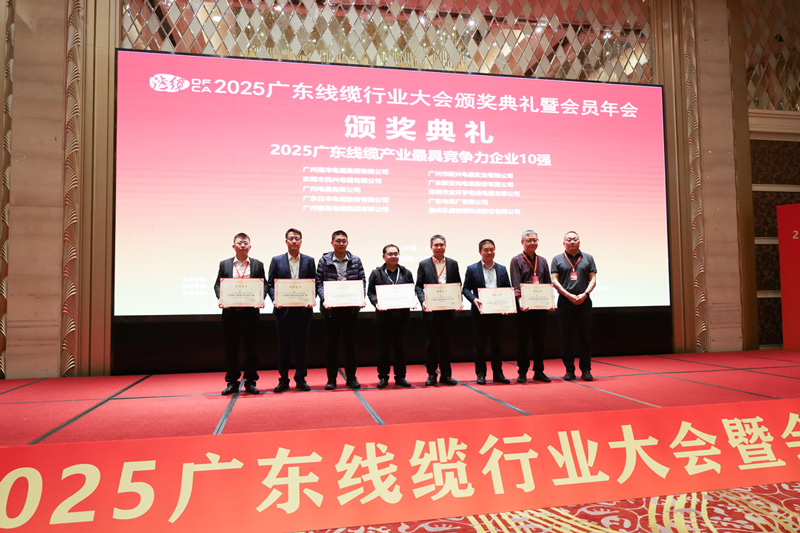民興位列廣東前3！2025廣東線纜行業(yè)大會召開